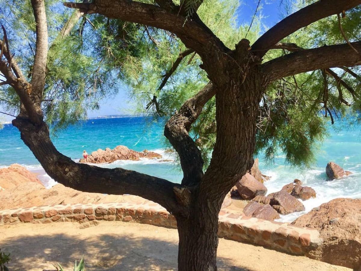 Zen Beach Cannes Sea View Apartment Beach In Front X2 Pools-Ac-Clim-Wifi-Free Parking Inside Exterior foto